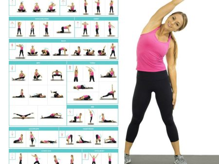 Vive Health Stretching Workout Poster For Cheap